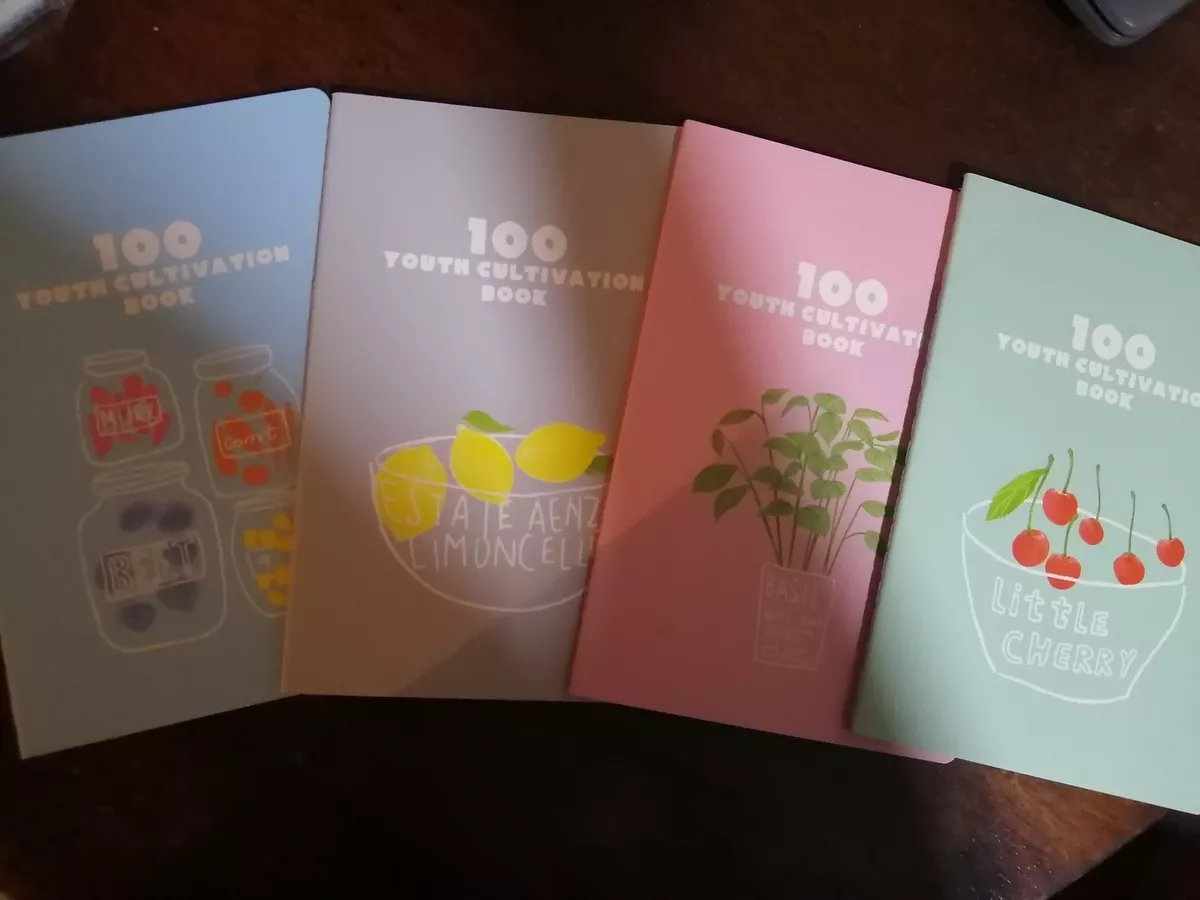 PACK DE 10 LIBRETAS DISEÑOS KAWAII VARIEDAD DE DISEÑOS - 4