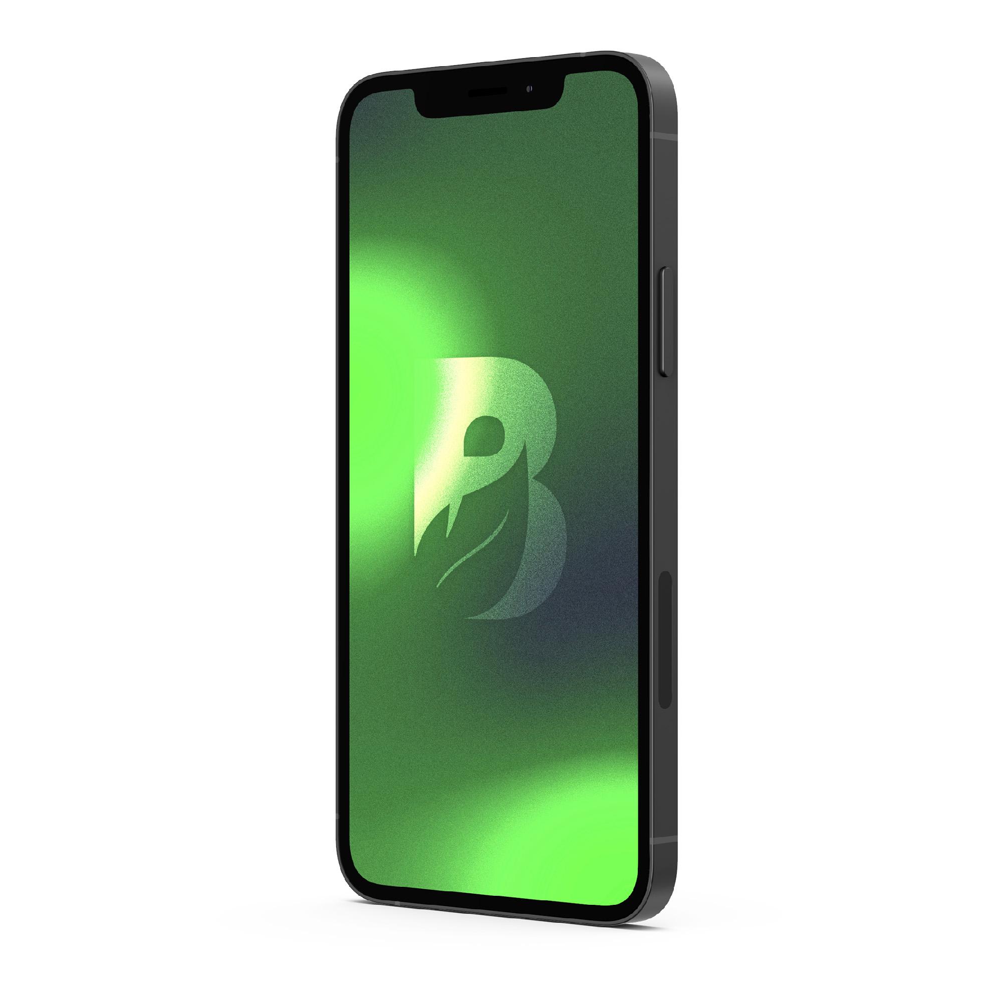 IPHONE 12 64GB - NEGRO RECONDICIONADO - 5