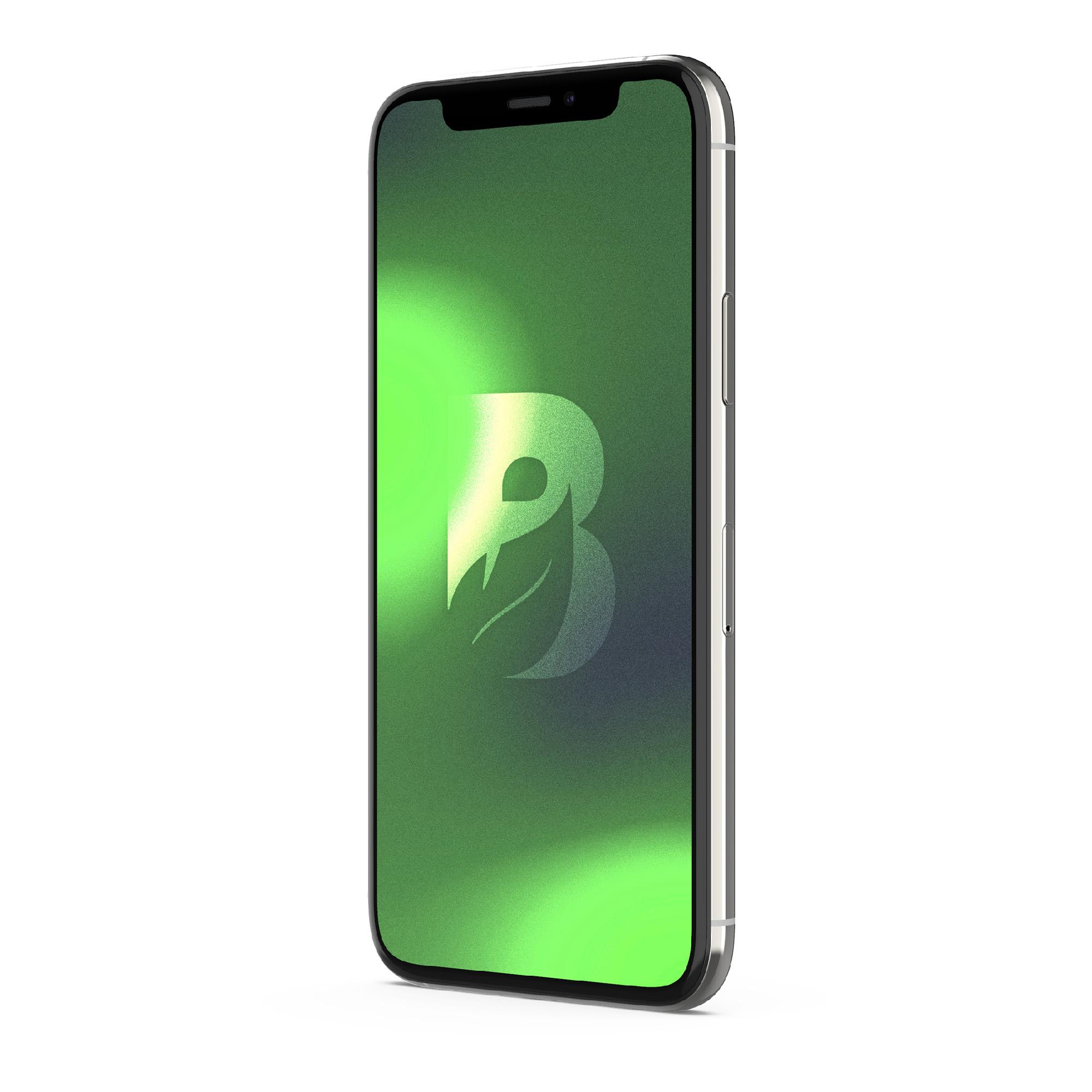 IPHONE 11 PRO MAX 256GB - PLATA RECONDICIONADO - 5