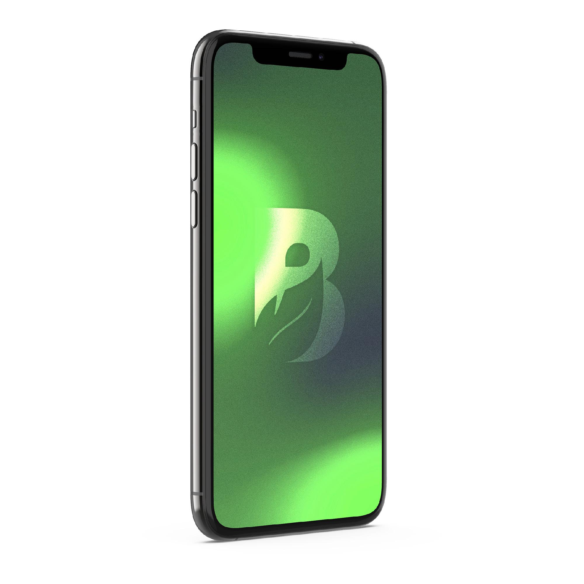 IPHONE 11 PRO MAX 64GB - GRIS ESPACIAL RECONDICIONADO - 3