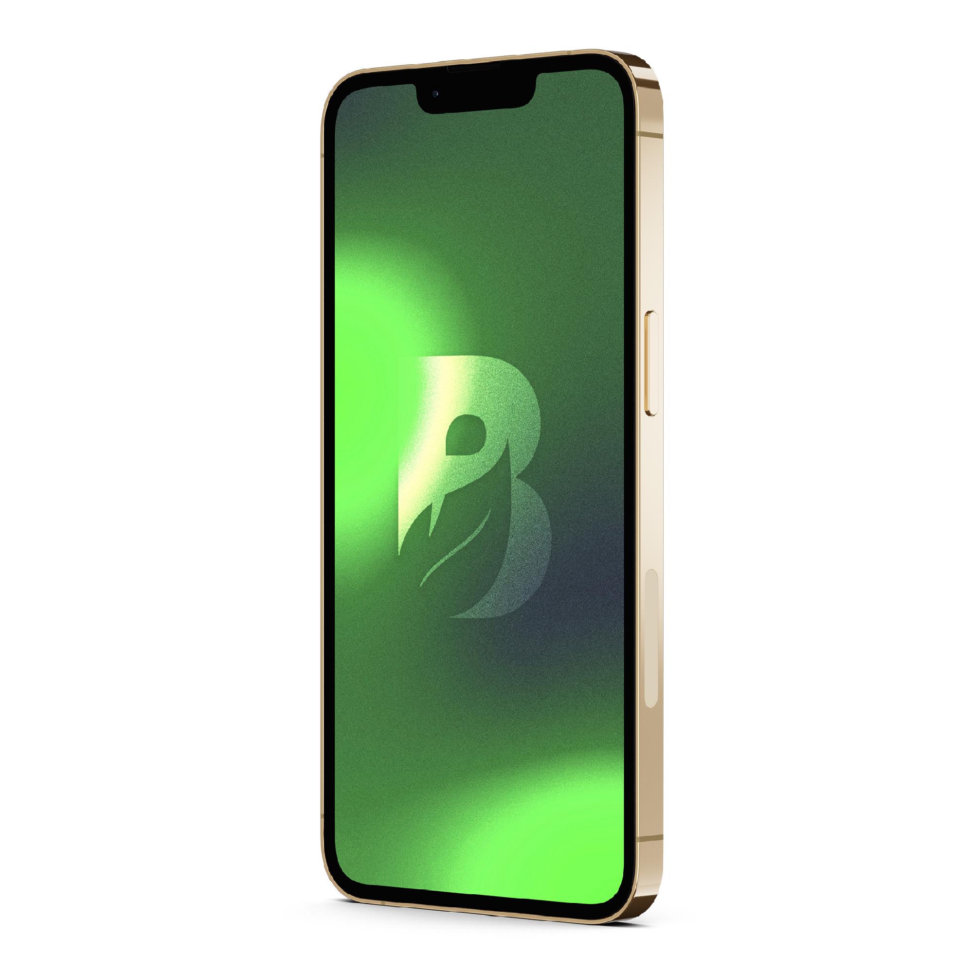 IPHONE 13 PRO MAX 128GB - ORO RECONDICIONADO - 5
