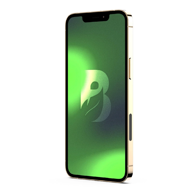 IPHONE 12 PRO MAX 128GB - ORO RECONDICIONADO - 5