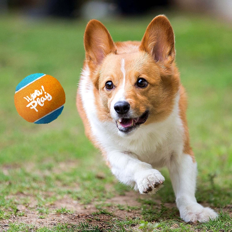PISTOLA LANZADORA PELOTAS JUGUETE MASCOTAS ALL FOR PAWS - 7