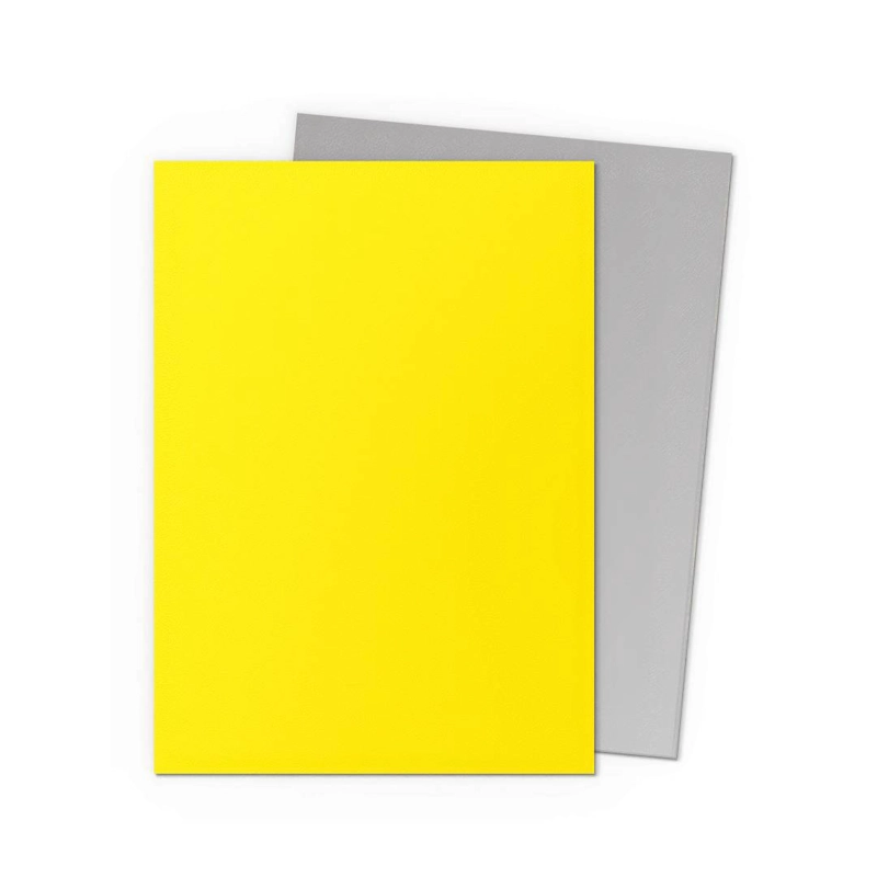 PROTECTOR DRAGON SHIELD STANDARD DUAL MATTE YELLOW & SILVER - 3