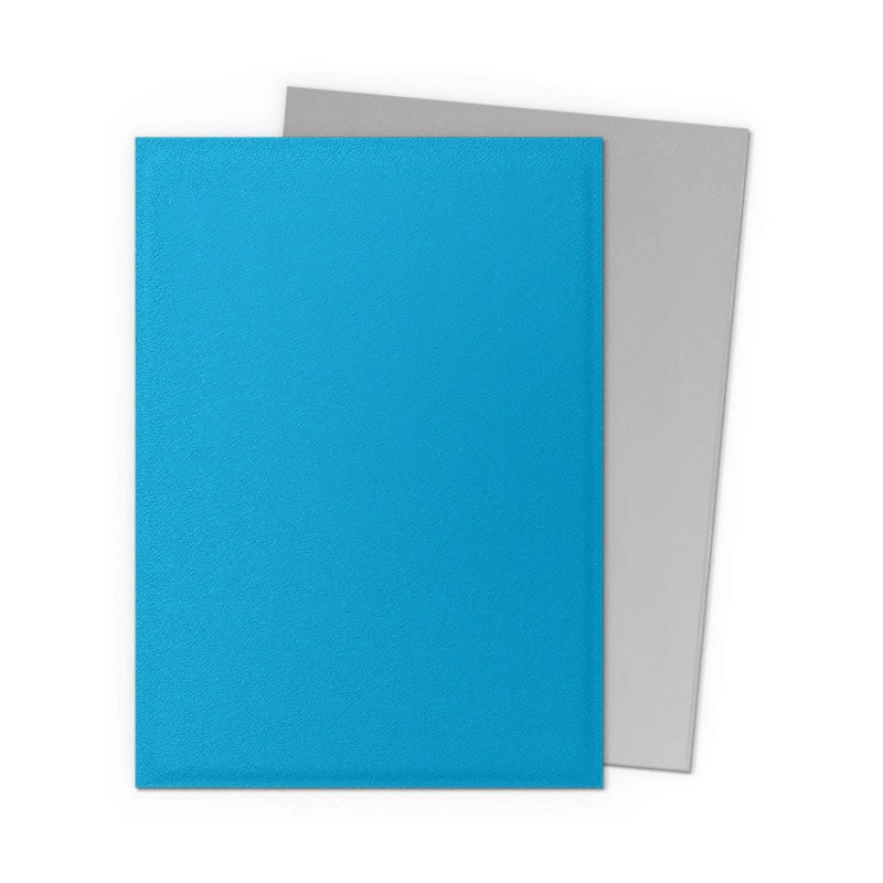 PROTECTOR DRAGON SHIELD STNDARD DUAL MATTE SKY BLUE & SILVER - 3