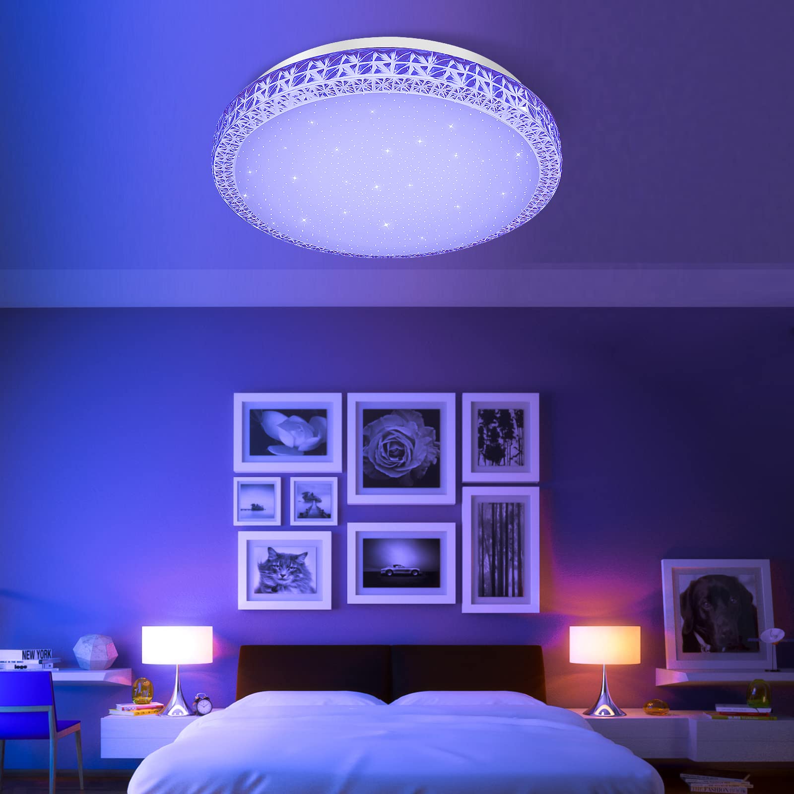 LAMPARA TECHO LED CRISTAL TECHO REDONDA REGULABLE RONDON - 2