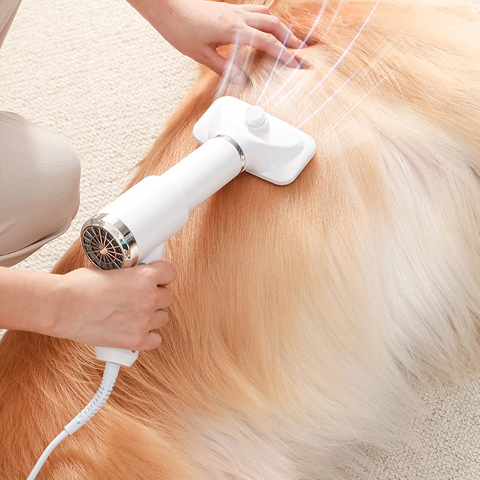 SECADOR PELO MASCOTAS PORTÁTIL CEPILLO PROFESIONAL RONDON - 8