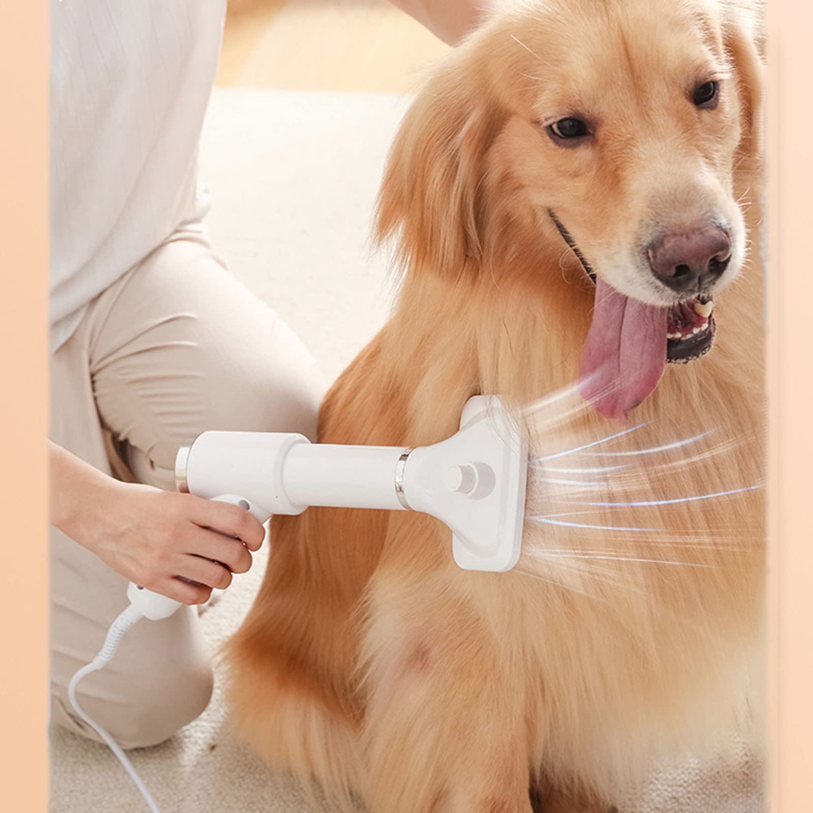 SECADOR PELO MASCOTAS PORTÁTIL CEPILLO PROFESIONAL RONDON - 9