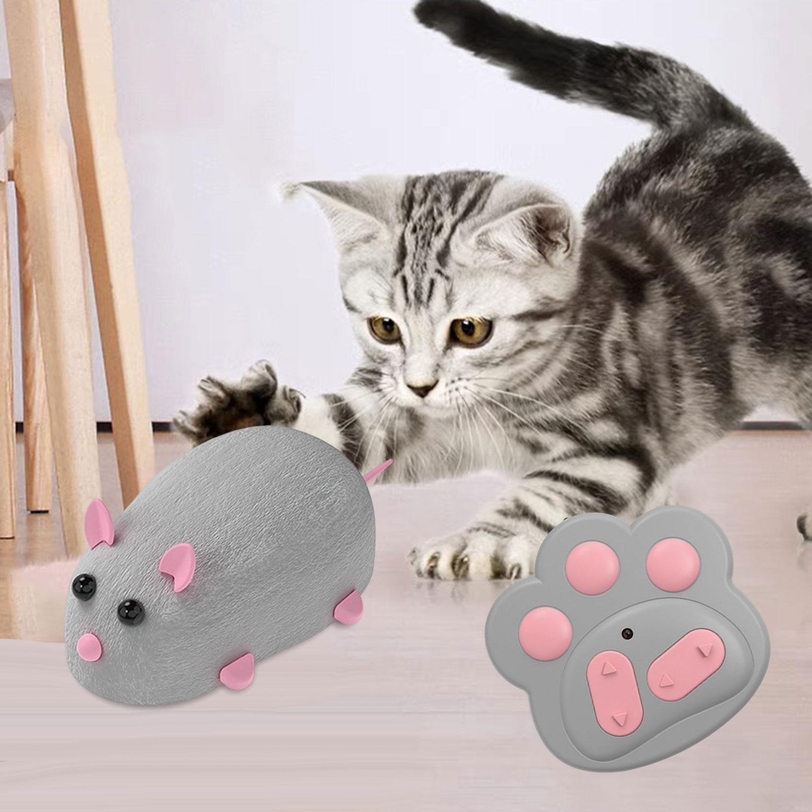 JUGUETE MASCOTA 101DB REALISTA RATÓN RADIO JUGUETES RONDON NUEVO - 8