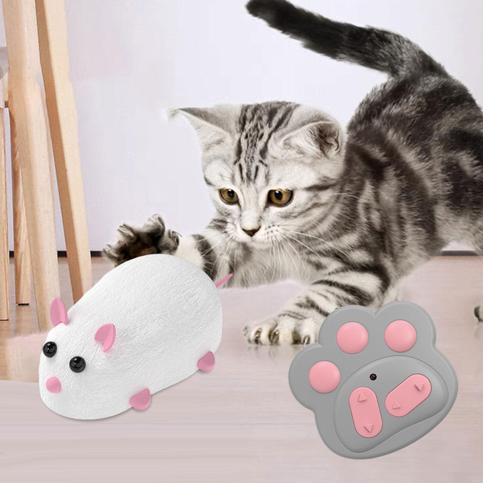 JUGUETE MASCOTA 101DB REALISTA RATÓN RADIO JUGUETES RONDON NUEVO - 9