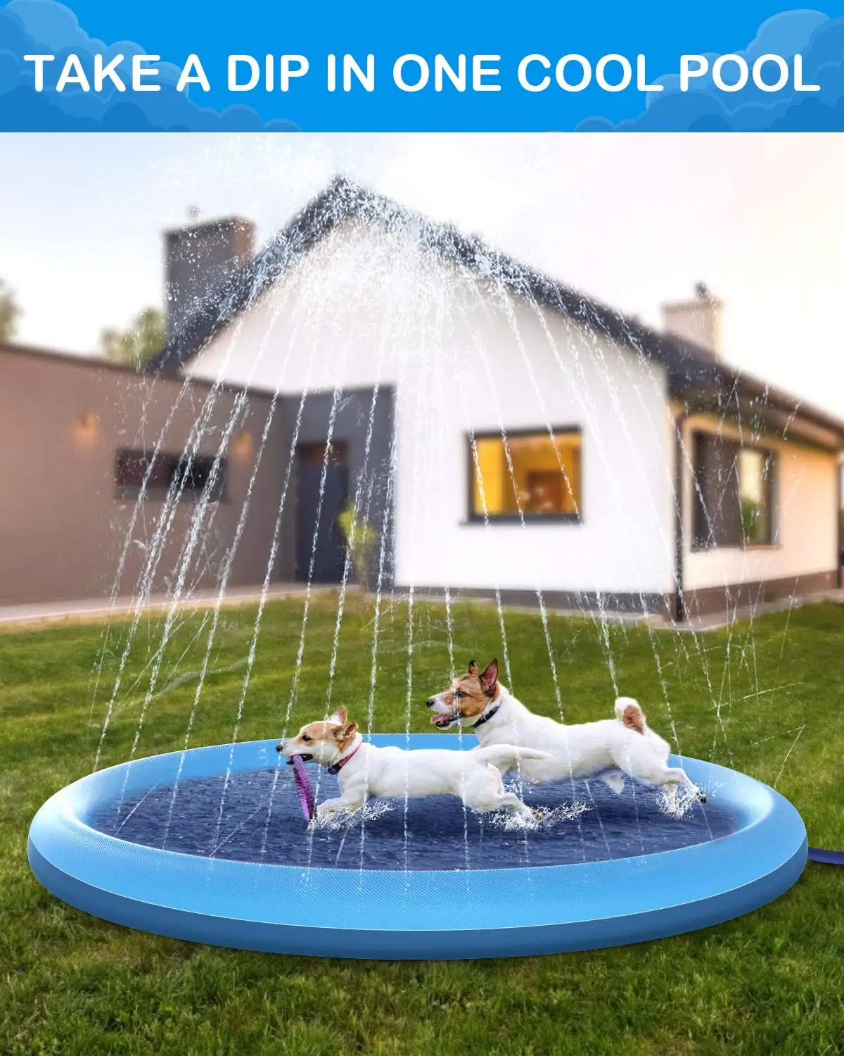 JUGUETE PERROS PISCINA COJN IMPERMEABLE RONDON HCC - 7