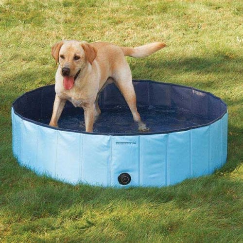 JUGUETE PERROS PISCINA ULTIFUCACIONAL PRUEBA AGUA RONDON HCC - 9