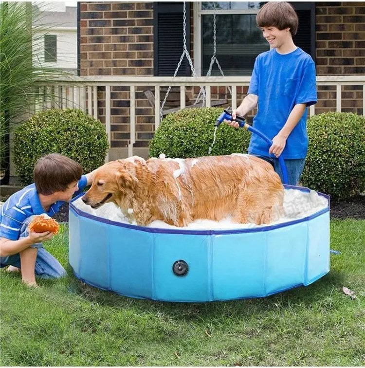 JUGUETE PERROS PISCINA PLEGABLE PORTATIL PVC RONDON HCC - 4
