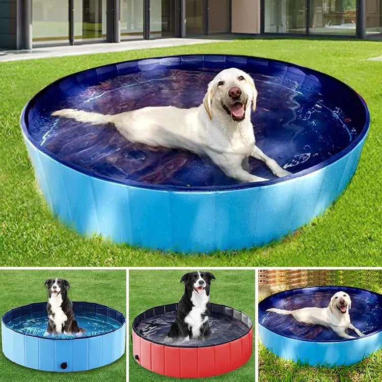 JUGUETE PERROS PISCINA PLEGABLE PORTATIL PVC RONDON HCC - 5