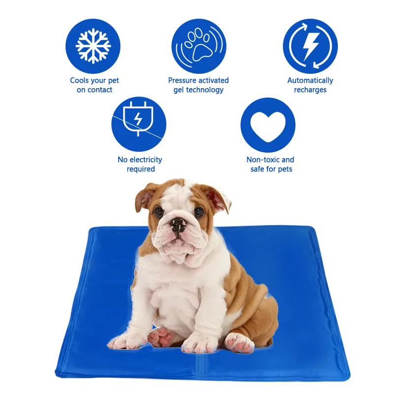 CAMA PERROS ALFOMBRA REFRIGERACION PERSONALIZADO RONDON HCC - 5