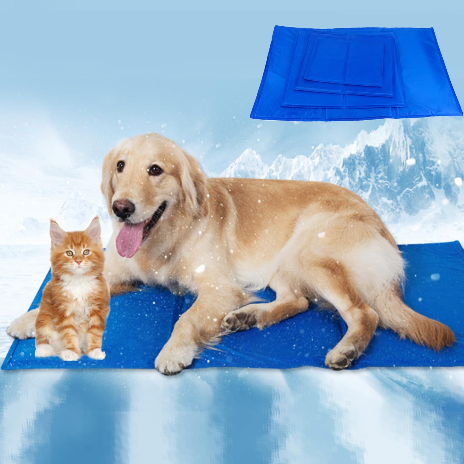 CAMA PERROS ALFOMBRA REFRIGERACION PERSONALIZADO RONDON HCC - 1