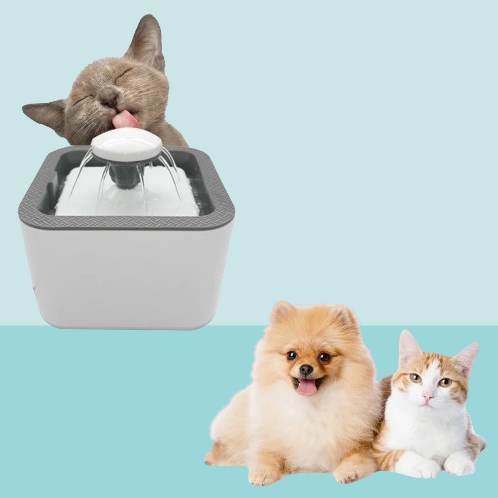BEBEDERO PERROS GATOS ELÉCTRICO USB RONDON PALMERS FUENTE - 3