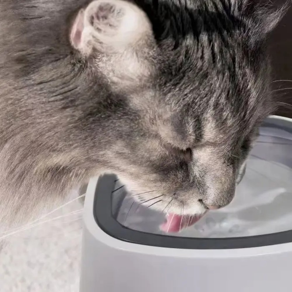 BEBEDERO PERROS GATOS AGUA ANTIDERRAME RONDON PALMERS - 2