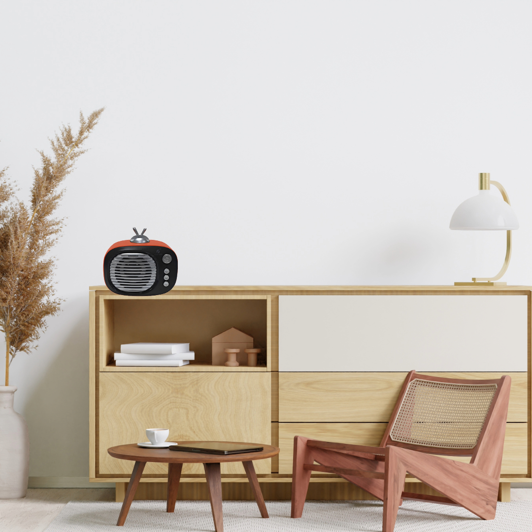 PARLANTE PEQUEÑO RADIO RECARGABLE PORTATIL PORTACELULAR LAU - 8