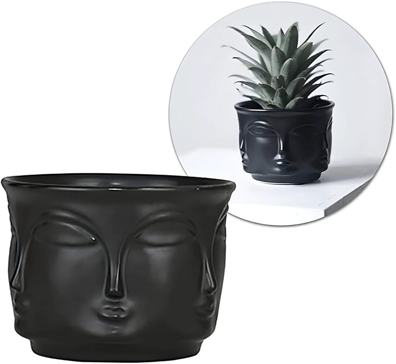 MACETA PLANTAS CACTUS CERAMICA FORMA CARA DECORATIVO LAU - 3