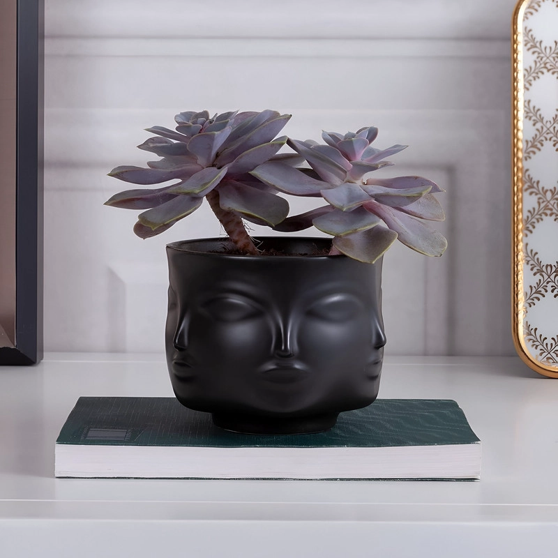 MACETA PLANTAS CACTUS CERAMICA FORMA CARA DECORATIVO LAU - 6