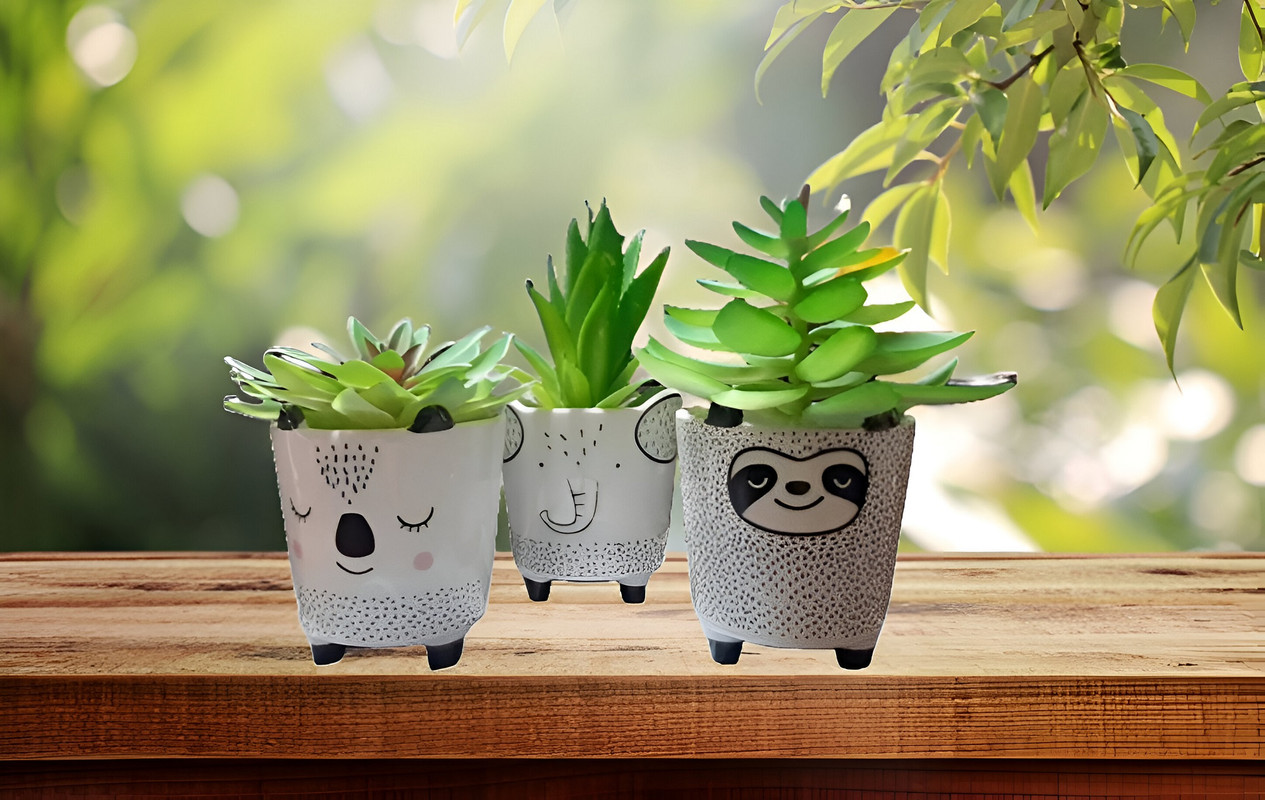 SET 2 MACETAS PEQUEÑAS PLANTAS CACTUS DECORACION HOGAR LAU - 5