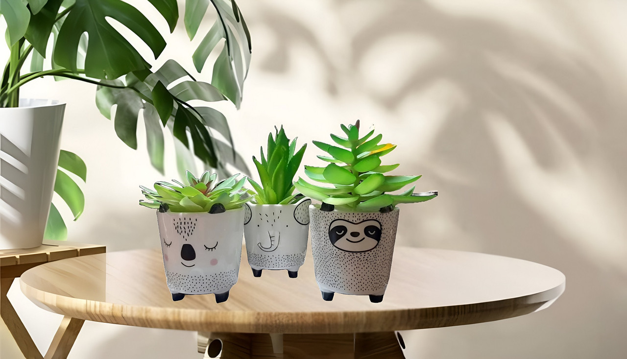 SET 2 MACETAS PEQUEÑAS PLANTAS CACTUS DECORACION HOGAR LAU - 6