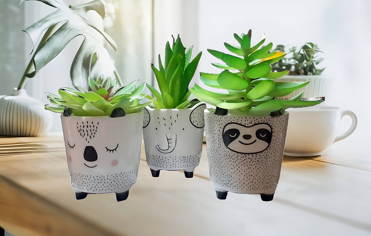 SET 2 MACETAS PEQUEÑAS PLANTAS CACTUS DECORACION HOGAR LAU - 7