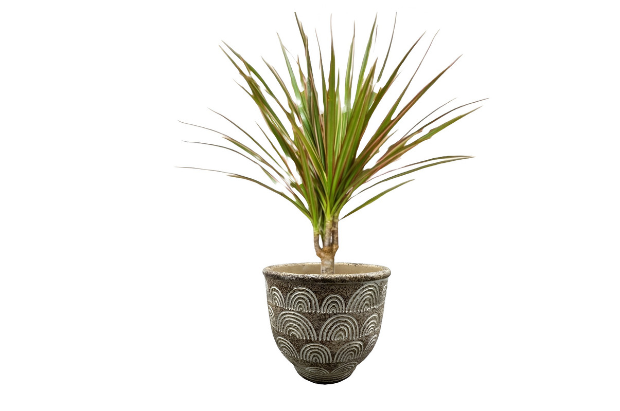 MACETA HORMIGON ARCILLA PLANTAS JARDIN CESPED ADORNO LAU - 3