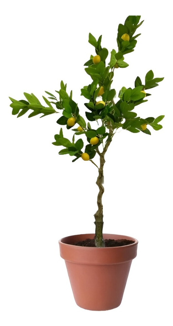 ÁRBOL LIMÓN ARTIFICIAL VERDE DECORACIÓN MODERNA 120CM JHN - 1