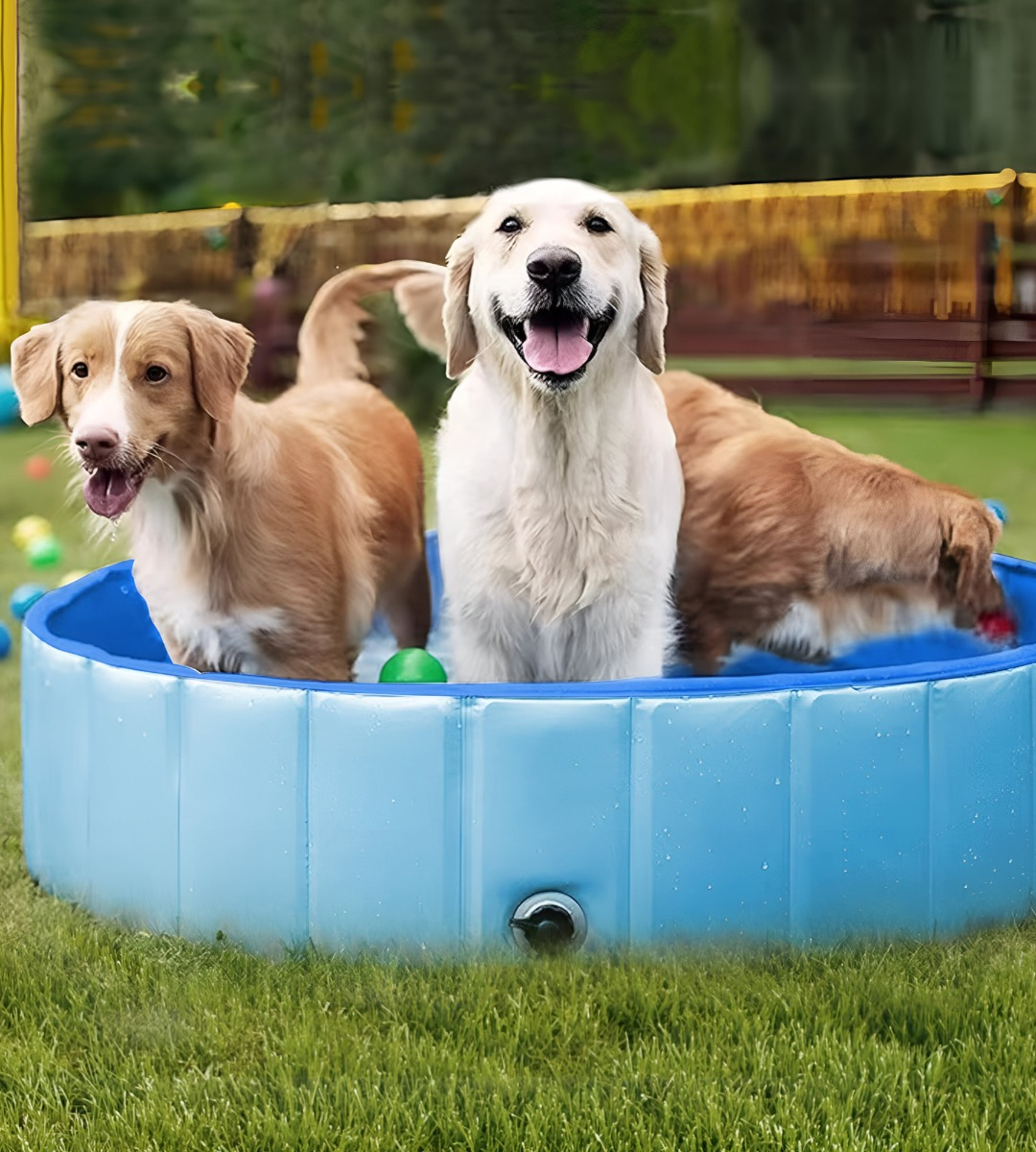 PISCINA PILETA PLEGABLE PARA MASCOTAS Y NIÑOS 80X20CM JHN - 7