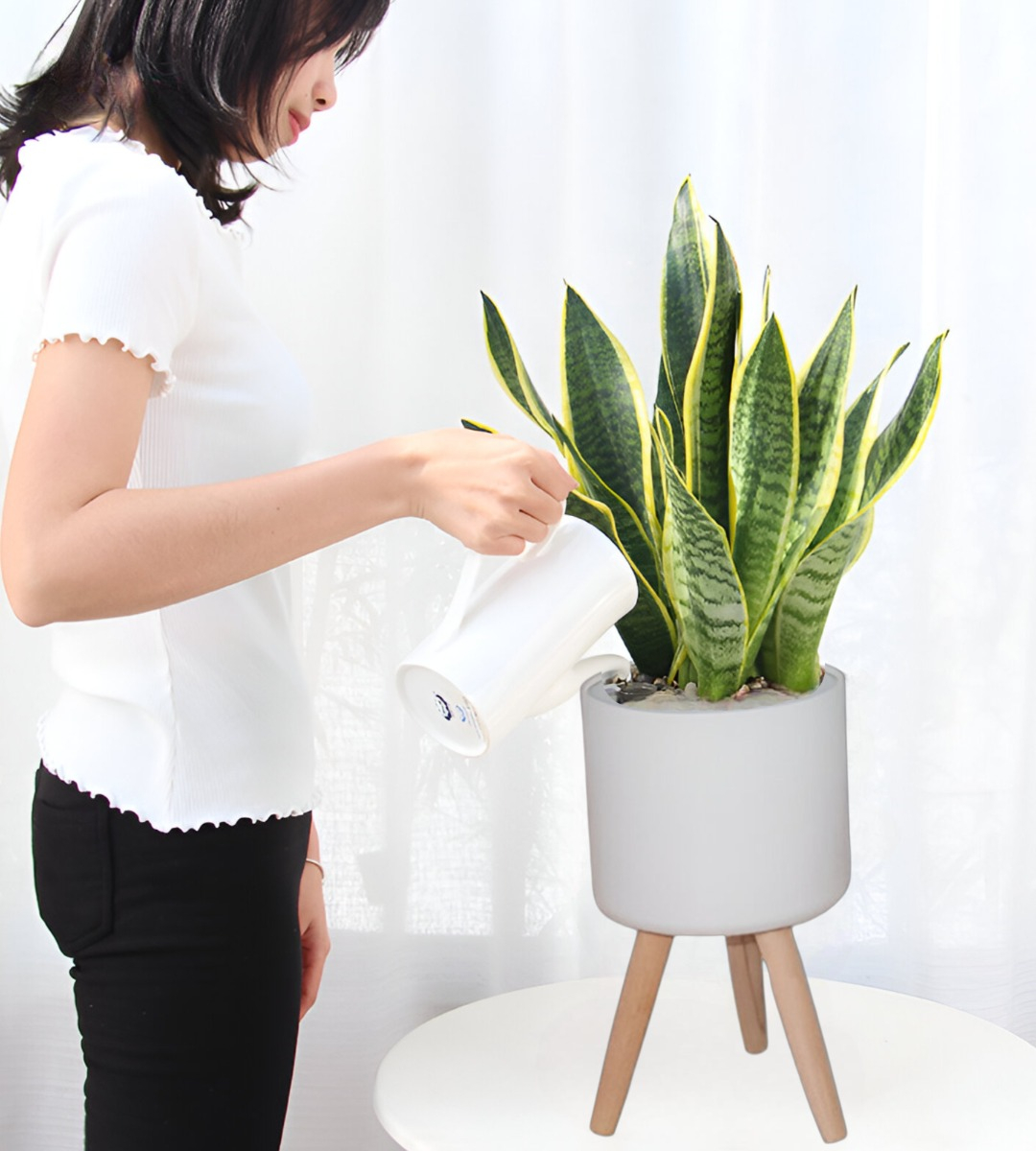 SET MACETAS PLANTA PATAS INTERIOR EXTERIOR FLORES BLANCA JHN - 6