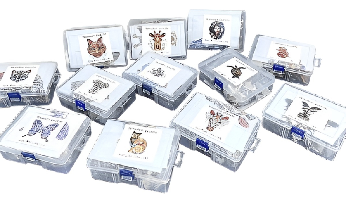 SET 2 JUGUETE PUZZLES EDUCATIVO DESARROLLO COGNITIVO LAU - 1