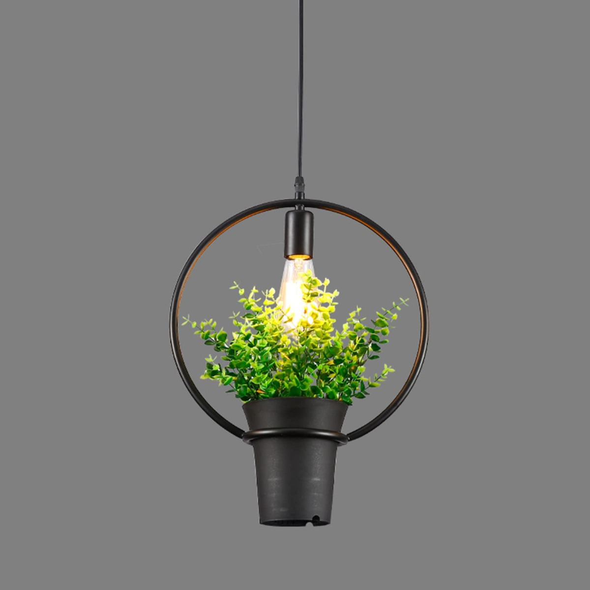 LÁMPARA COLGANTE MODERNA PLANTAS CREATIVO JARDIN HOGAR LAU - 3