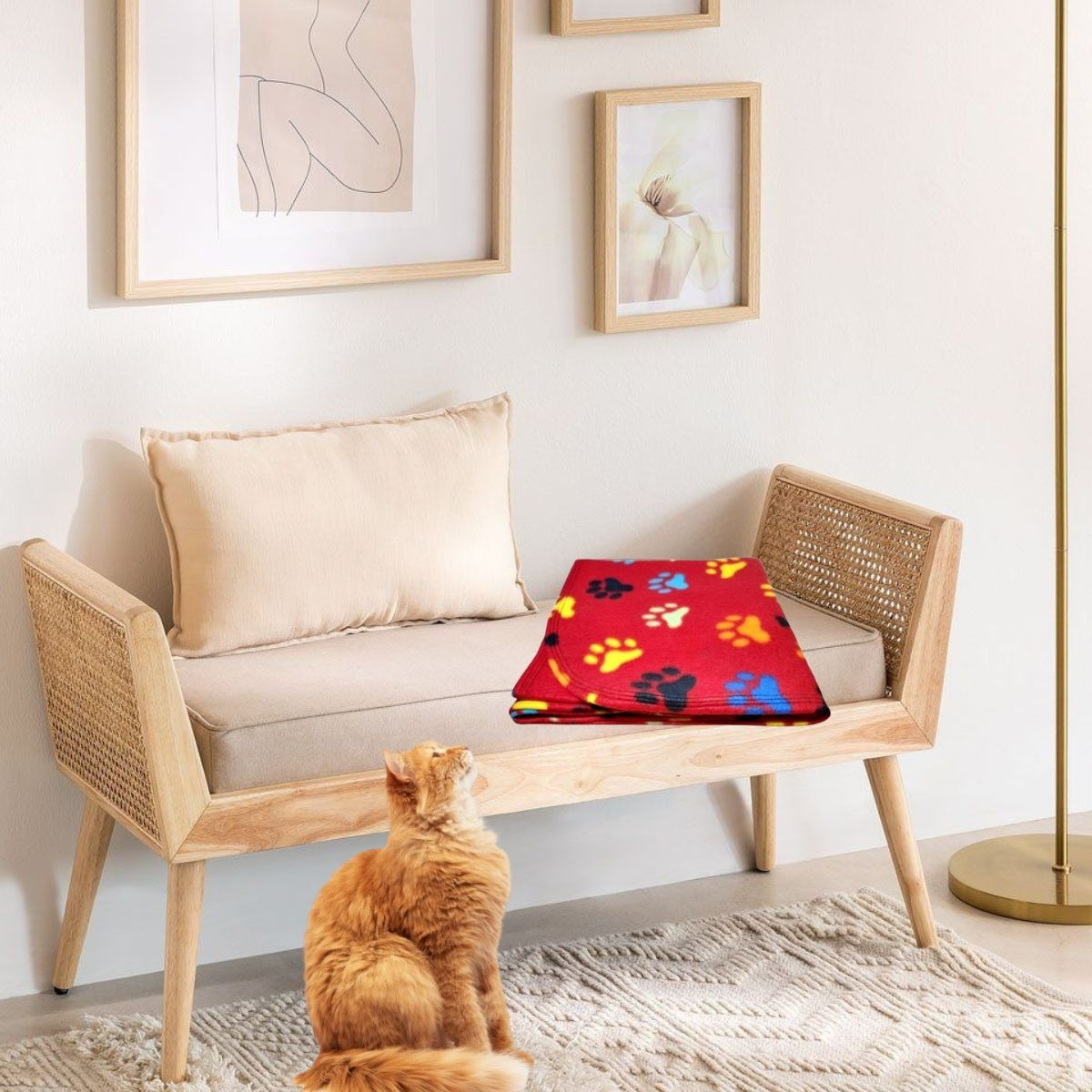 SET 3 MANTAS  PARA MASCOTAS SUAVES PERRO GATOS 100X70CM LAU - 7