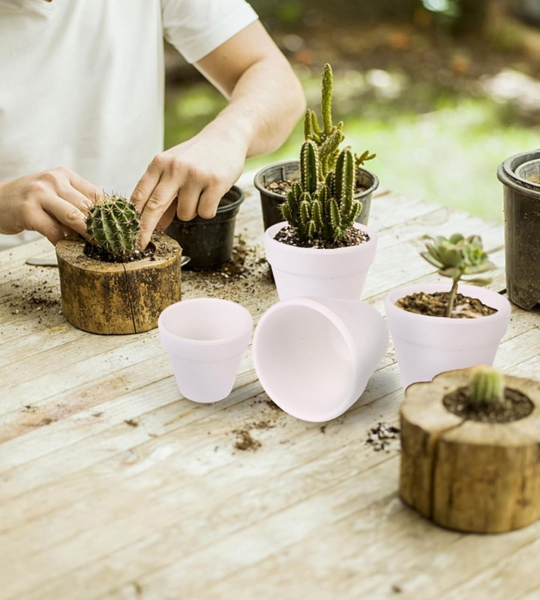 SET 6 MACETERO MINI SUCULENTAS JARDINERÍA CULTIVO JHN - 5