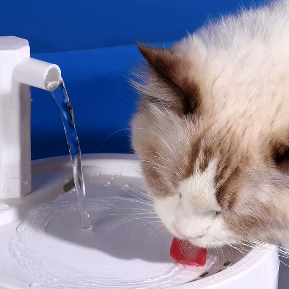 BEBEDERO DISPENSADOR DE AGUA PARA MASCOTAS HOGAR LAU - 8