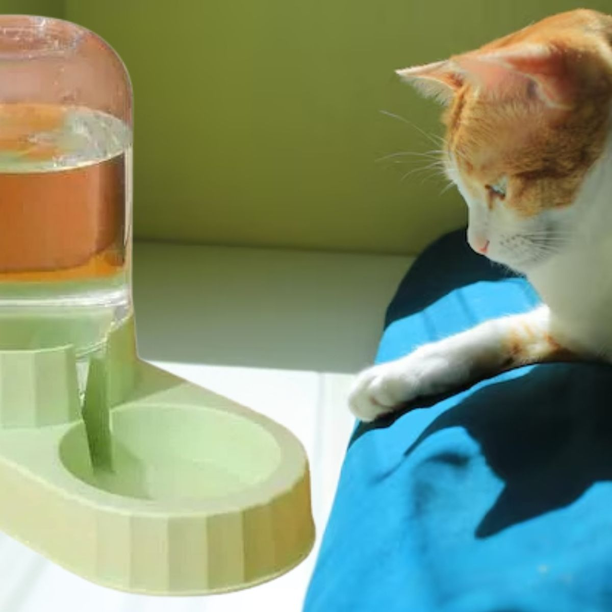 DISPENSADOR DE COMIDA Y BEBEDERO DE AGUA MASCOTA LAU - 3