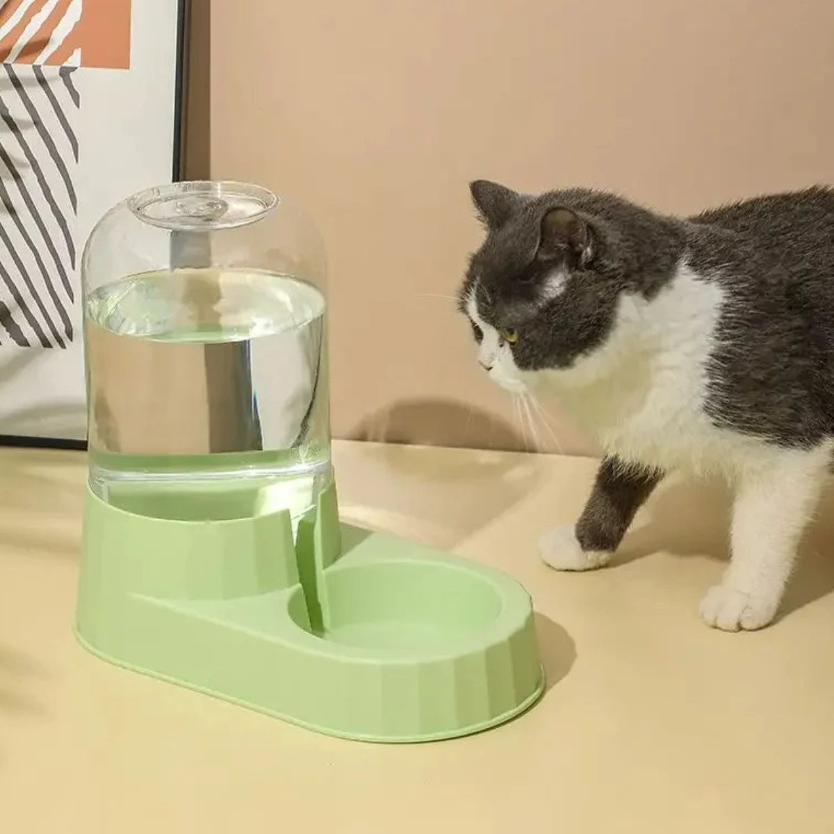 DISPENSADOR DE COMIDA Y BEBEDERO DE AGUA MASCOTA LAU - 5