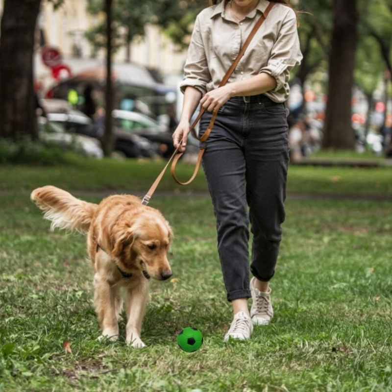 SET 8 JUGUTE DIVERTIDO PELOTA DE GOMA PARA MASCOTA LAU - 8