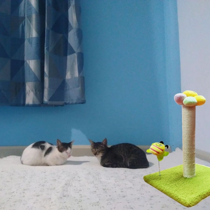 RASCADOR PARA GATOS FORMA DE FLOR MASCATOS LAU - 9