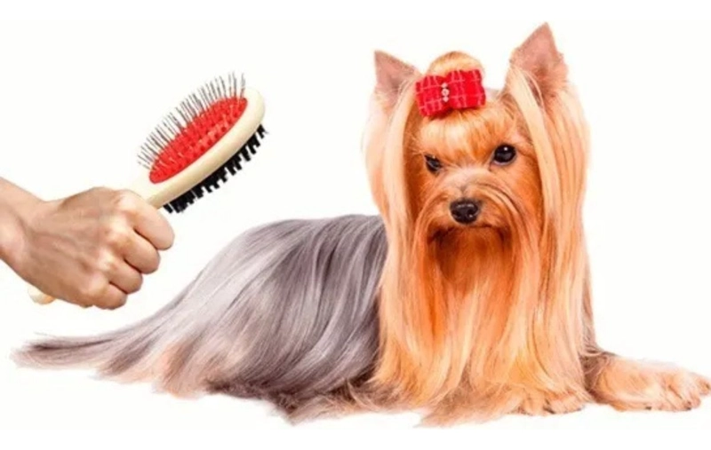 SET 3 CEPILLO PARA MASCOTA DOBLE CARA ERGONOMICO LAU - 2