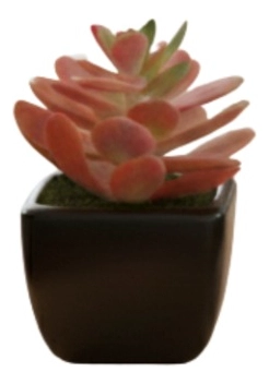 SET 3 PLANTA ARTIFICIAL DECORATIVA SUCULENTA ORNAMENTAL JHN - 1