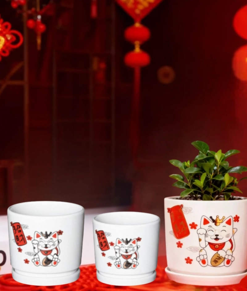 SET 3 MACETERO DECORATIVO DISEÑO GATO SUERTE ARMONIA JHN - 9