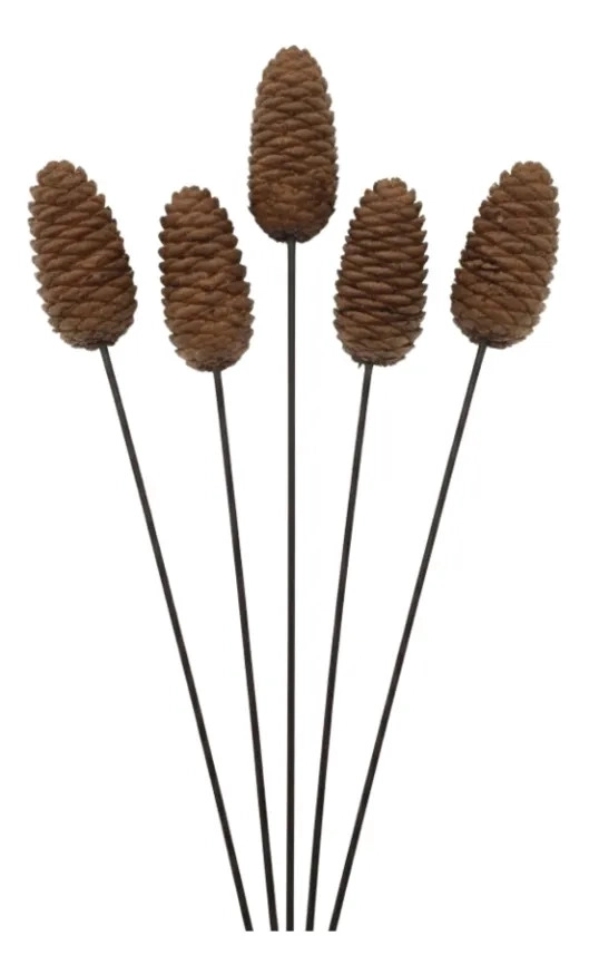 SET 5 VARAS PIÑAS DECORATIVAS ADORNO NATURAL HOGAR AJ - 1