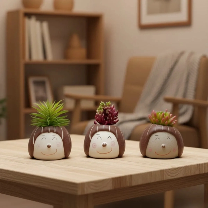 SET 2 MACETAS DECORATIVAS CARITAS PLANTAS SUCULENTAS ALJ - 7