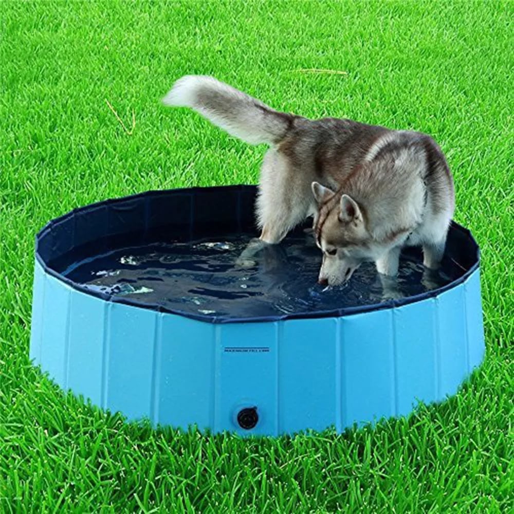 JUGUETE PERROS PISCINA ULTIFUCACIONAL PRUEBA AGUA RONDON HCC - 1