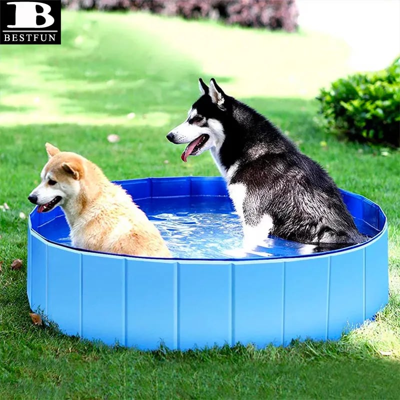 JUGUETE PERROS PISCINA ULTIFUCACIONAL PRUEBA AGUA RONDON HCC - 2