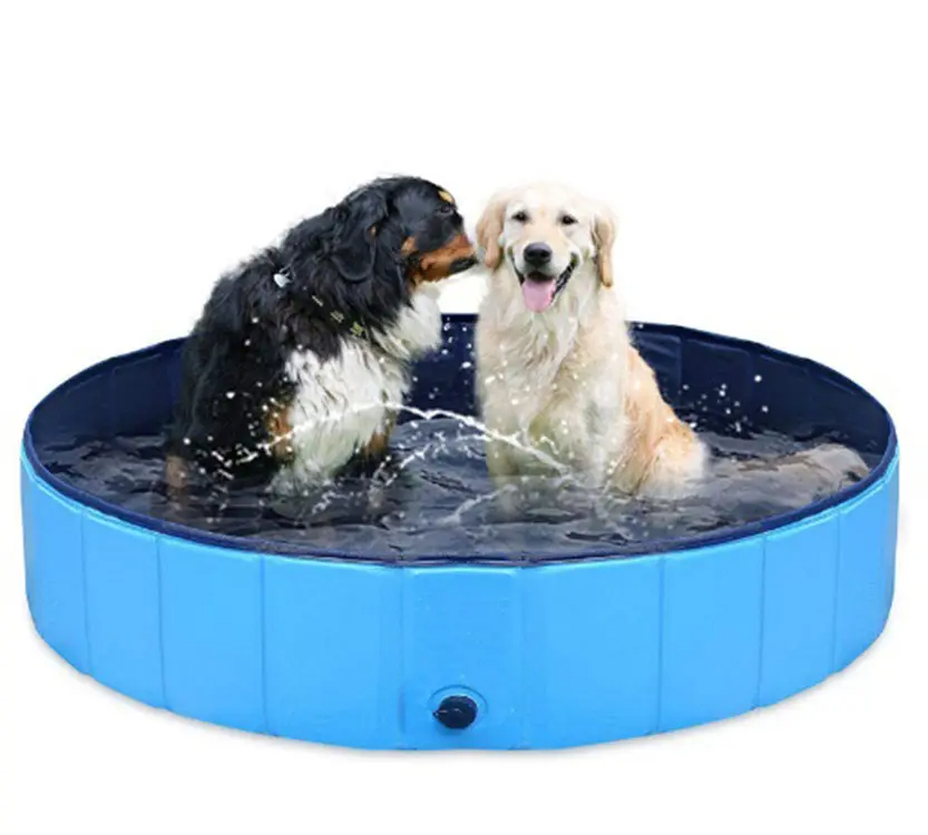 JUGUETE PERROS PISCINA ULTIFUCACIONAL PRUEBA AGUA RONDON HCC - 6