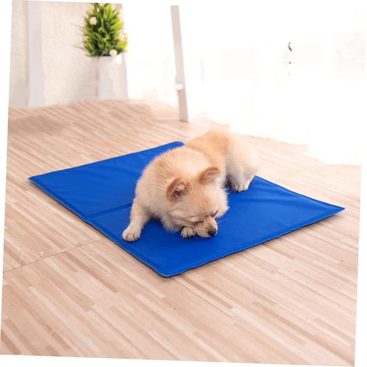 CAMA PERROS COLCHONETA RORO REFRESCANTE DESCANSO RONDON HCC - 5